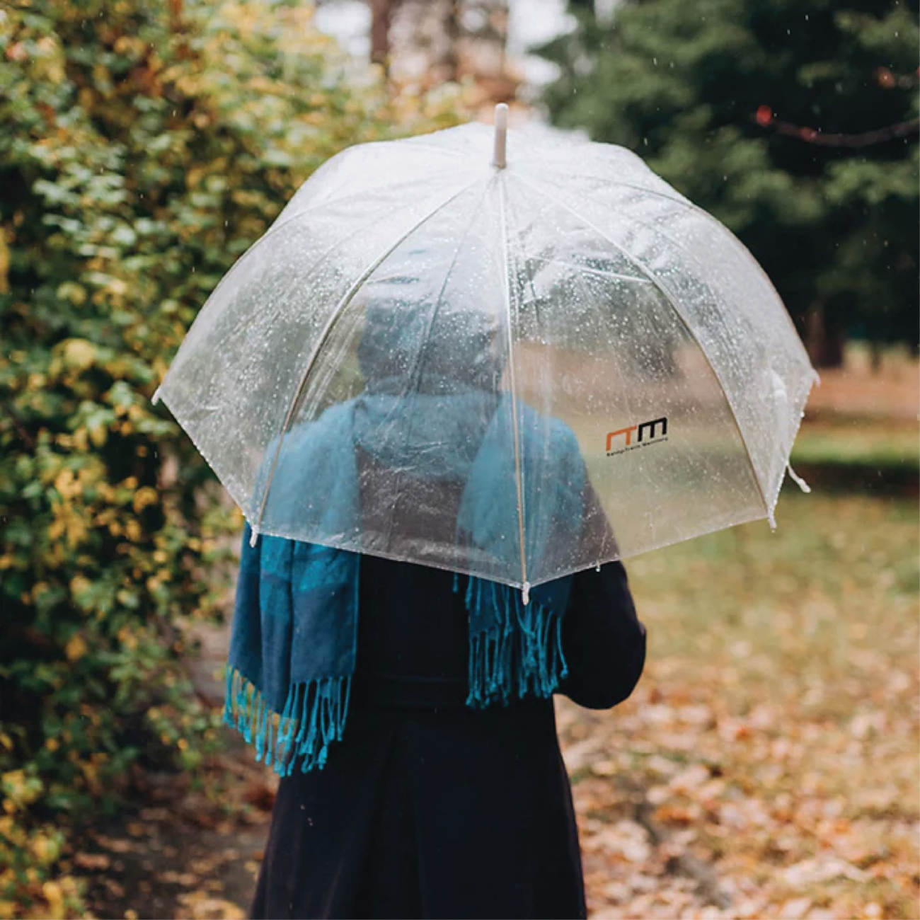 Umbrellas